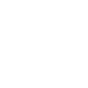 Icon019