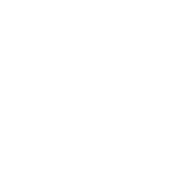 Icon020